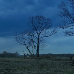 A Blue Automobile Japanese Movie photo