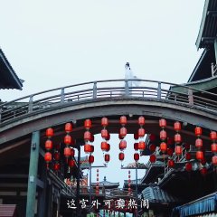 Cat in the Eastern Palace Chinese Movie photo