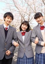 Kokoro no Fufufu Japanese Drama photo