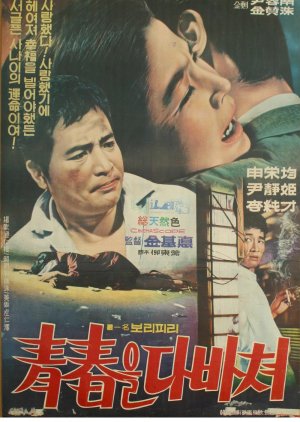 Devotion of Youth (1969) poster