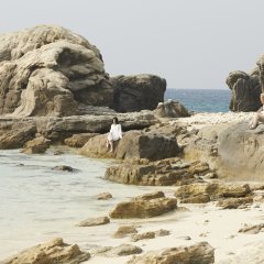 The Shell Collector Japanese Movie photo