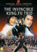 The Invincible Kung Fu Trio Taiwanese Movie photo