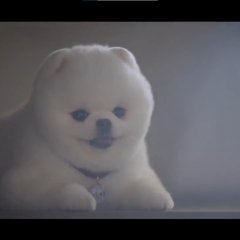 Do Do Sol Sol La La Sol Korean Drama photo