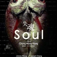Soul Taiwanese Movie(2013) photo