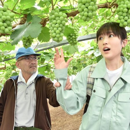 The Grapes of Joy (2021)