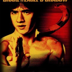 Snake in the Eagle's Shadow Hong Kong Movie photo