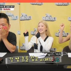 Dogs Are Incredible (2019) photo