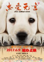 Love Without Words Chinese Movie photo