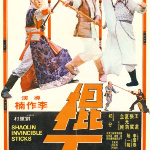 Shaolin Invincible Sticks (1978)