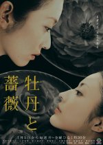 Botan to Bara Japanese Drama photo