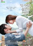 Immutable Law of First Love korean drama review