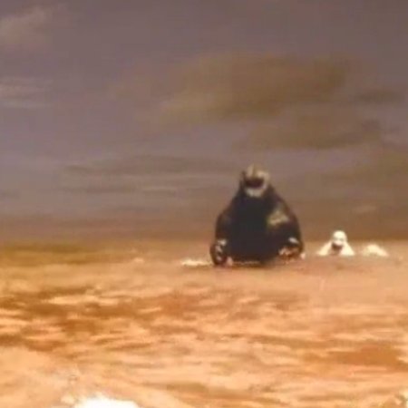 Kamisama no Boto  (2013)
