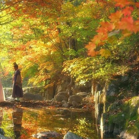 Kamisama no Boto  (2013)