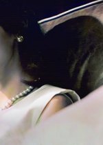 Shanghai Love Story Chinese Movie(2012) photo