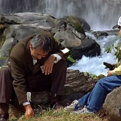 The Professor's Beloved Equation Japanese Movie photo