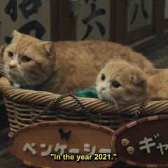 Doctor X Season 7 Japanese Drama photo