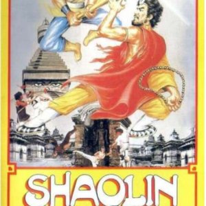 Shaolin Temple Against Lama (1980)