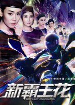 New Lady Enforcers Chinese Movie photo