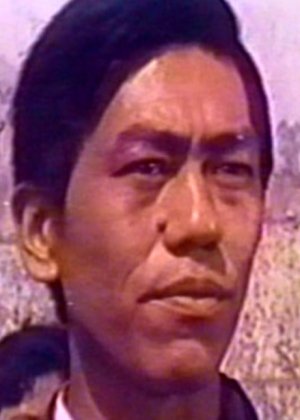Chang Shao Chun in Two Dragons Fight Against Tiger Taiwanese Movie(1974)