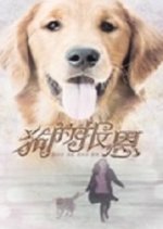The Dog's Gratitude Chinese Movie photo