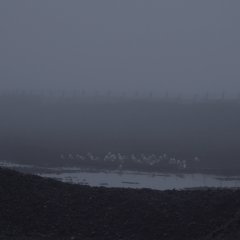 East Asia Anti-Japan Armed Front Korean Movie photo