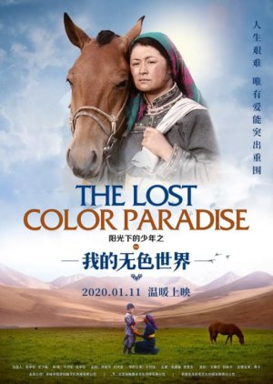 The Lost Color Paradise (2020) poster