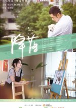 Descending Chinese Movie photo