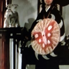 Eagle's Claw and Butterfly Palm Taiwanese Movie photo