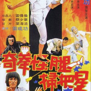 The Marvelous Kung Fu (1979)