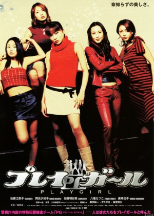 Playgirl (2003) poster