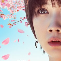 Love Like the Falling Petals Japanese Movie photo