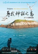 Enigma:The Chinese Crested Tern Taiwanese Movie(2021) photo