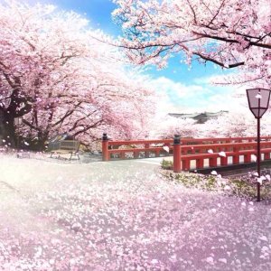 Kamisama no Boto  (2013)
