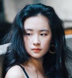Ying Fei Zhu