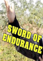 Sword of Endurance Taiwanese Movie photo