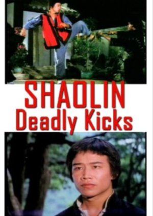 Shaolin Deadly Kicks (1982) poster