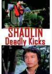 Shaolin Deadly Kicks hong kong drama review