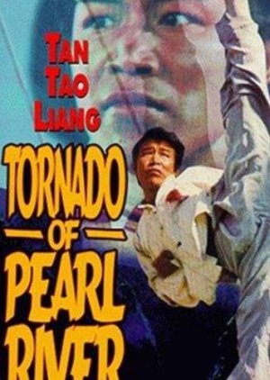 Tornado of Pearl River (1974) poster