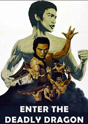 Enter The Deadly Dragon (1978) poster