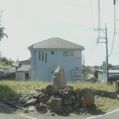 The Sleeping Insect Japanese Movie photo