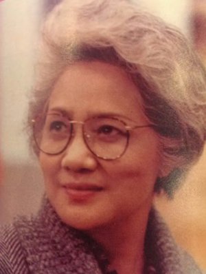 Bi Yun Lu