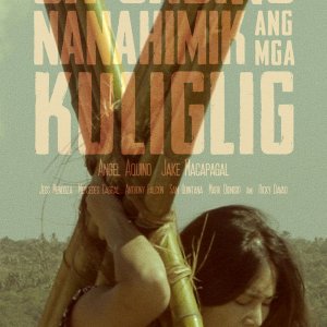 Sa Gabing Nanahimik ang mga Kuliglig (2017)