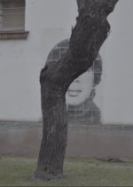 Good Light, Good Air Korean Movie photo