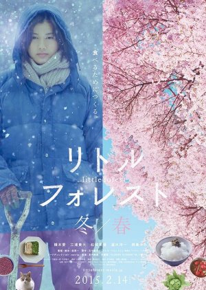 Little Forest: Winter & Spring (2015) poster