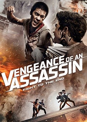 Vengeance of an Assassin (2014) poster
