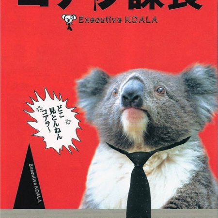 Kamisama no Boto  (2013)