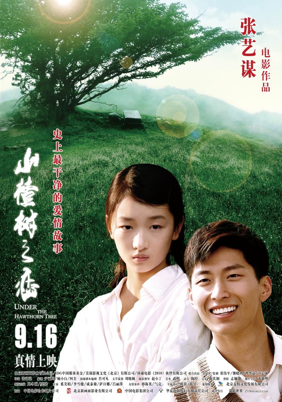 image poster from imdb - ​Under the Hawthorn Tree (2010)