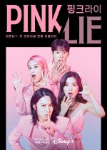 Pink Lie Korean TV Program photo