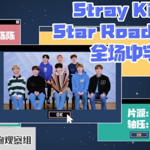 Star Road: Stray Kids (2020)