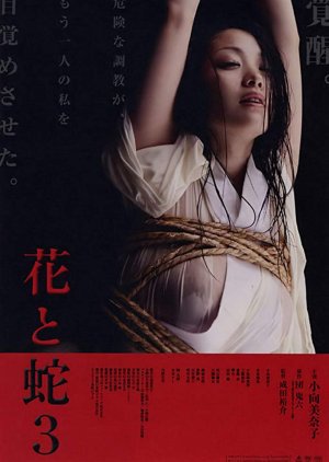 Flower & Snake 3 (2010) poster
